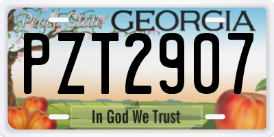 GA license plate PZT2907