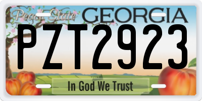 GA license plate PZT2923