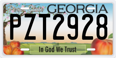 GA license plate PZT2928