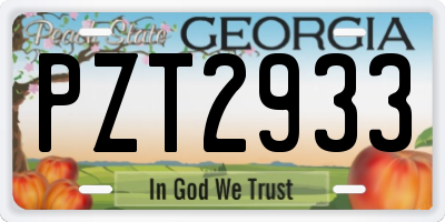 GA license plate PZT2933