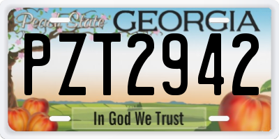 GA license plate PZT2942