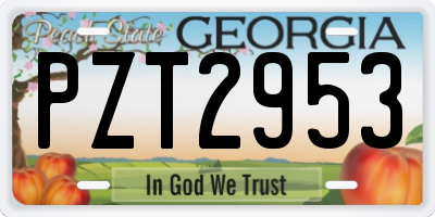 GA license plate PZT2953