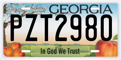 GA license plate PZT2980