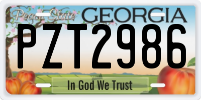 GA license plate PZT2986