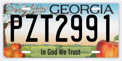 GA license plate PZT2991