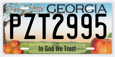 GA license plate PZT2995