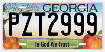 GA license plate PZT2999