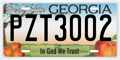 GA license plate PZT3002