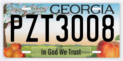 GA license plate PZT3008
