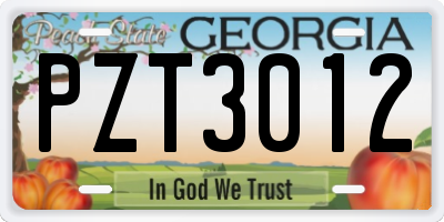 GA license plate PZT3012