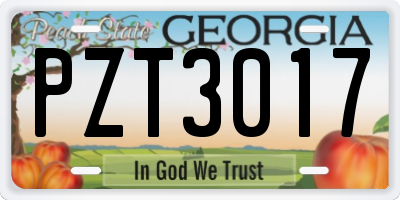 GA license plate PZT3017