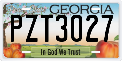 GA license plate PZT3027