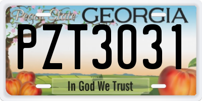 GA license plate PZT3031