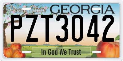 GA license plate PZT3042