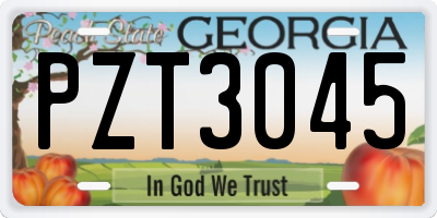 GA license plate PZT3045