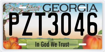 GA license plate PZT3046