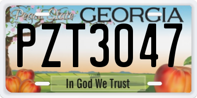 GA license plate PZT3047