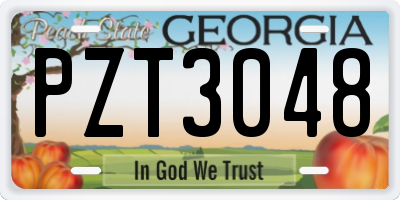 GA license plate PZT3048