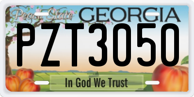 GA license plate PZT3050