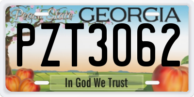 GA license plate PZT3062
