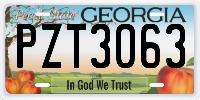 GA license plate PZT3063
