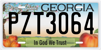 GA license plate PZT3064