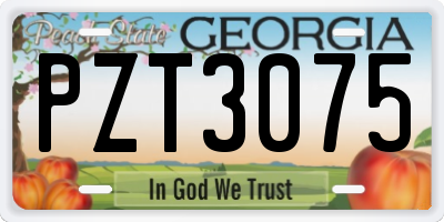 GA license plate PZT3075