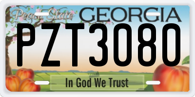 GA license plate PZT3080