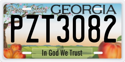 GA license plate PZT3082
