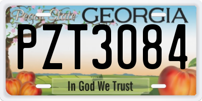 GA license plate PZT3084