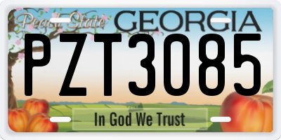 GA license plate PZT3085