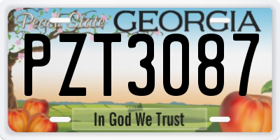 GA license plate PZT3087