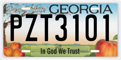 GA license plate PZT3101