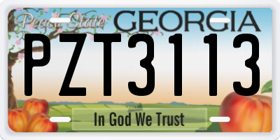 GA license plate PZT3113