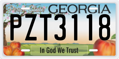 GA license plate PZT3118