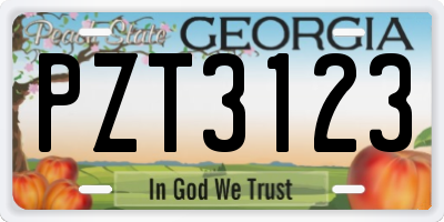 GA license plate PZT3123