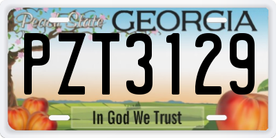GA license plate PZT3129