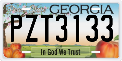 GA license plate PZT3133