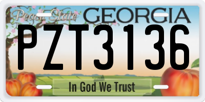 GA license plate PZT3136