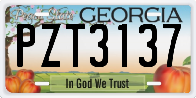 GA license plate PZT3137