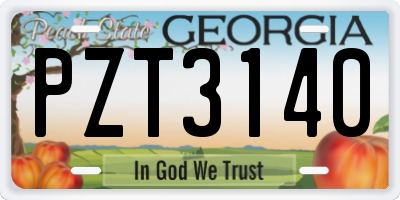 GA license plate PZT3140