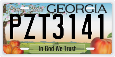 GA license plate PZT3141