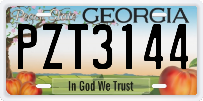 GA license plate PZT3144