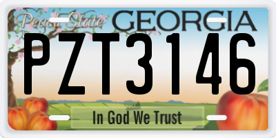 GA license plate PZT3146