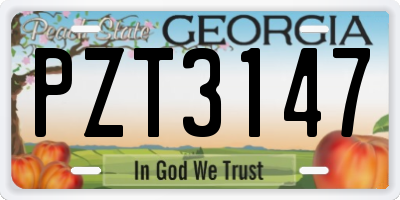 GA license plate PZT3147