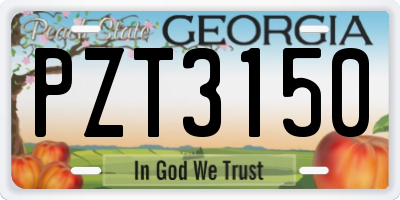 GA license plate PZT3150
