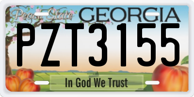 GA license plate PZT3155