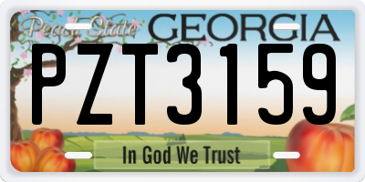 GA license plate PZT3159