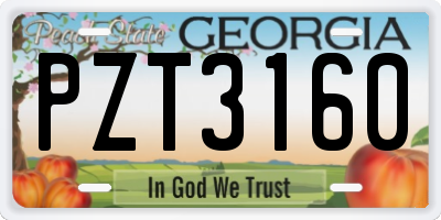 GA license plate PZT3160