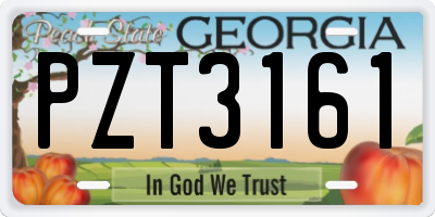 GA license plate PZT3161